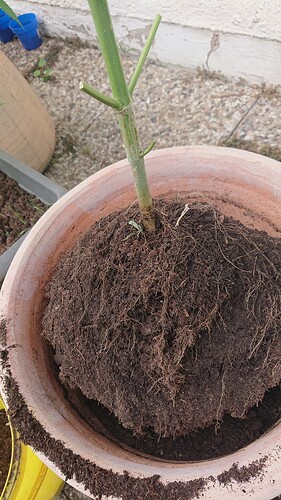 Growreport Bild 15