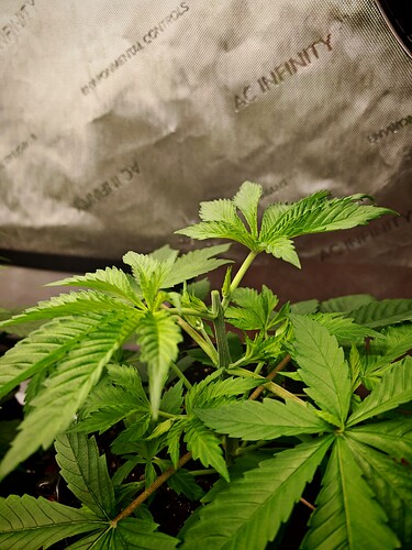 Growreport Bild 20