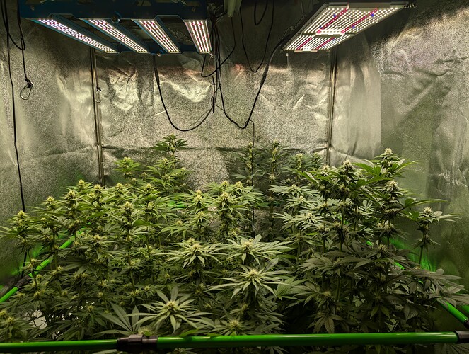 Growreport Bild 4