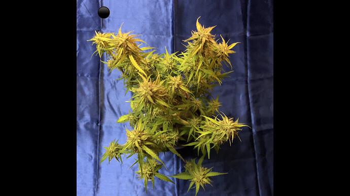 Growreport Bild 10