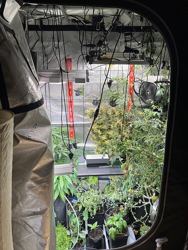 Growreport Bild 7