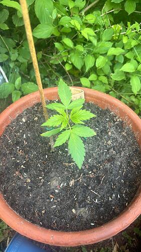 WhatsApp Bild 2024-05-23 um 17.43.37_12765737