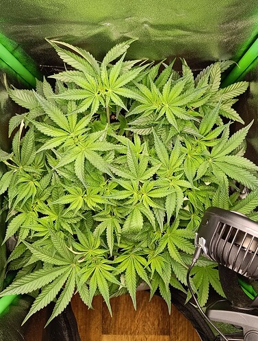 Growreport Bild 6