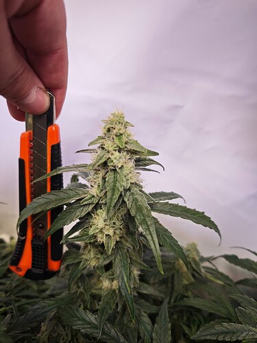 MVIMG_20251110_190027