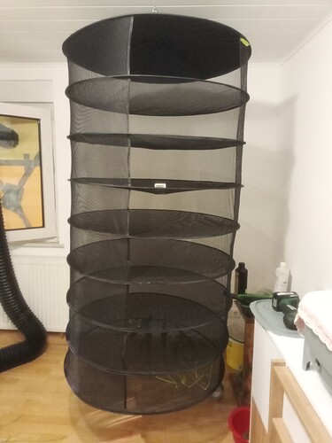 Growreport Bild 1