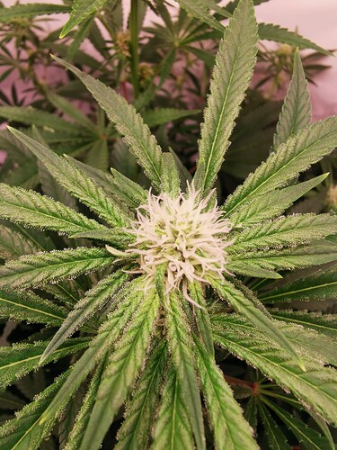 Growreport Bild 10