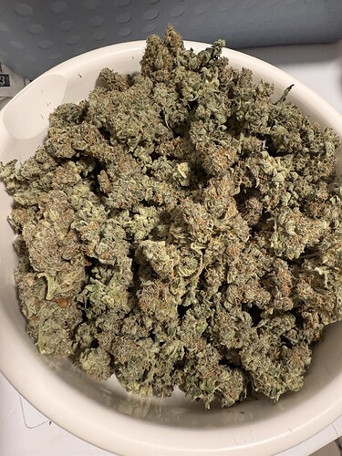 Growreport Bild 24