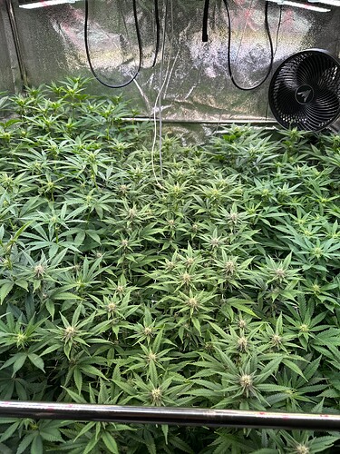 Growreport Bild 19