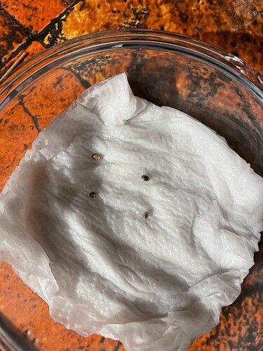 Growreport Bild 1