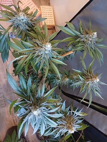 Growreport Bild 8