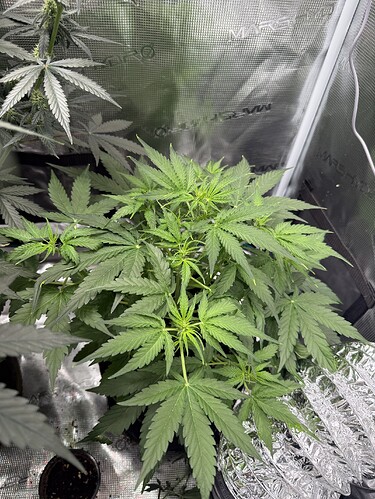 Growreport Bild 8