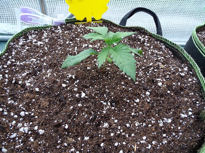 Growreport Bild 26