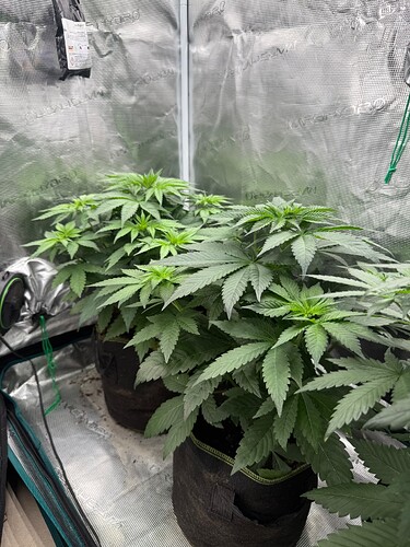Growreport Bild 7