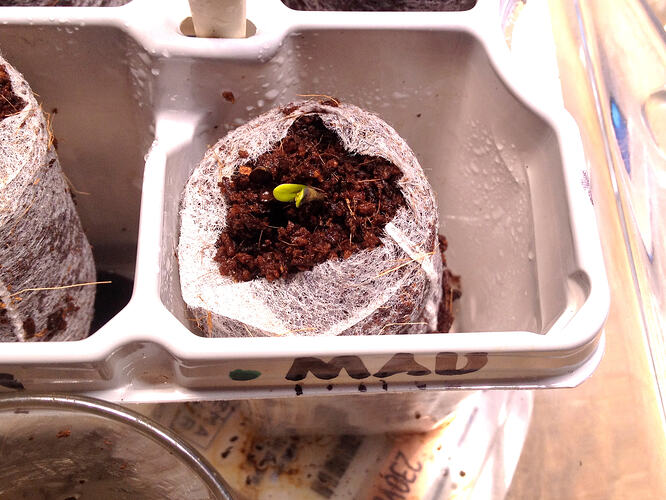 Grow26_0507_3