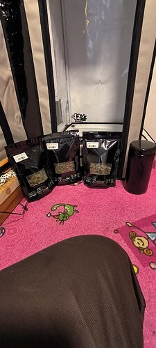 Growreport Bild 1