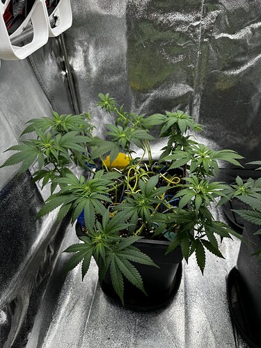 20240630_100816651_iOS