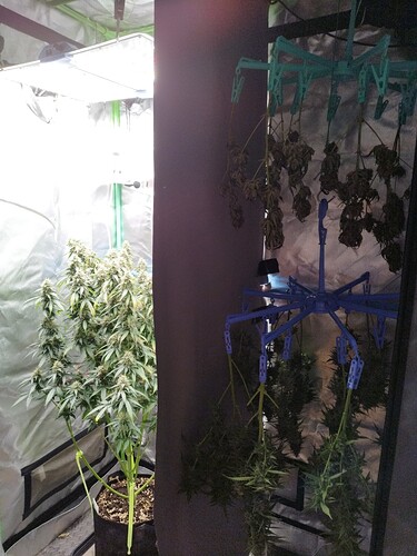 Growreport Bild 8