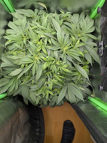 PXL_20241006_190252843