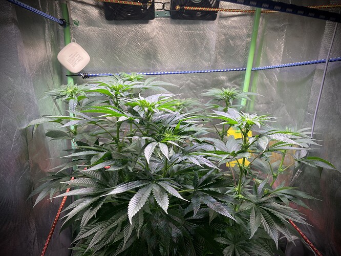 Growreport Bild 4