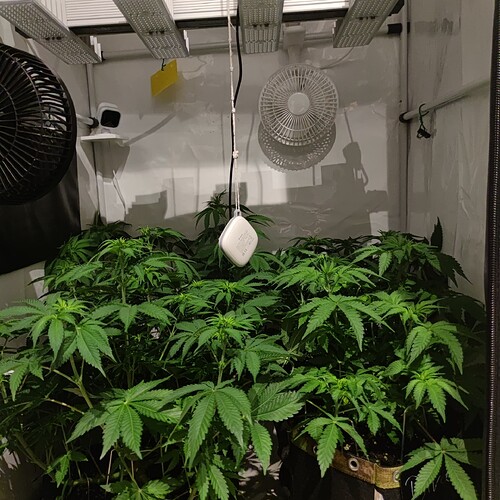 Growreport Bild 5