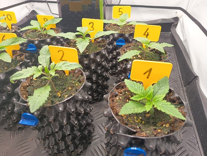 Growreport Bild 8