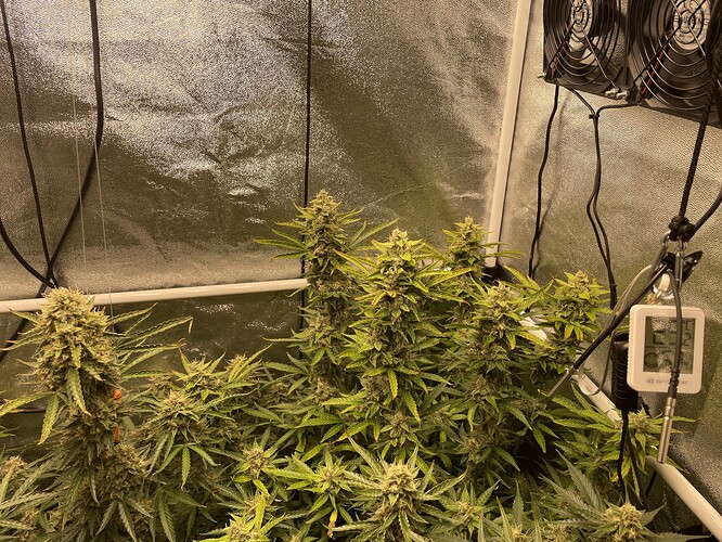 Growreport Bild 3