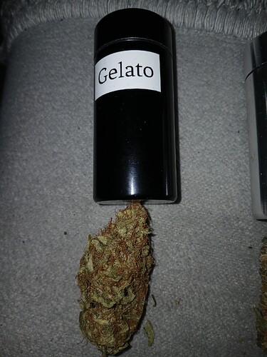 Growreport Bild 25
