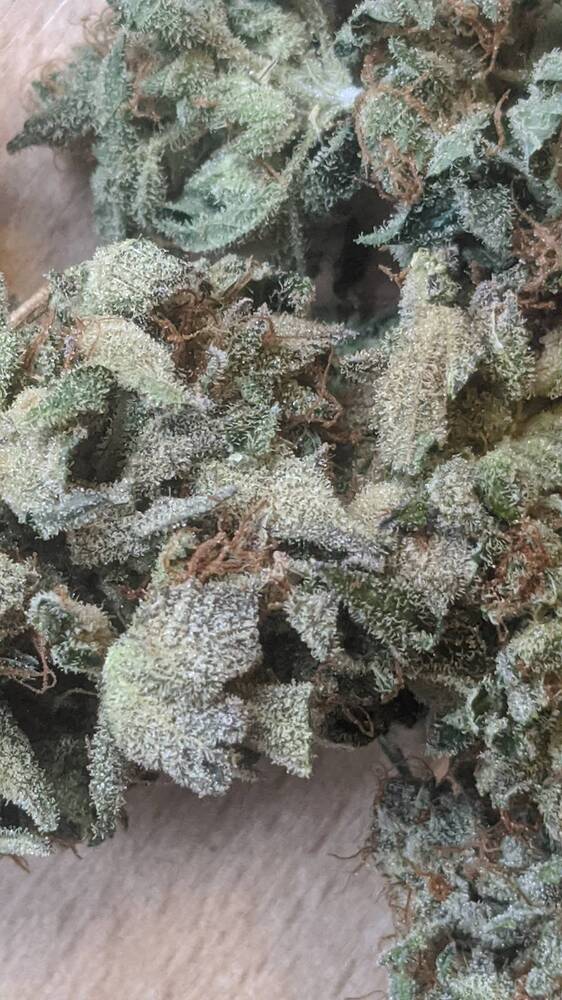 Der Doldenreport #1- Erntebericht - 9x Gorilla Cookies FF auf 1 m2 - 8L Grownest - Mainlining - Mars Hydro FCE 4800 - eigener Erdmix, Komposttee und Flüssigdünger