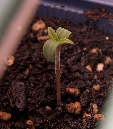 Growreport Bild 10