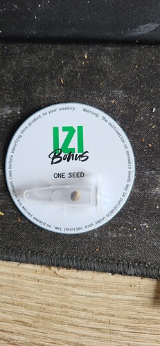 74a24da1-cc5b-4846-b1ca-aa4163ad5e2d