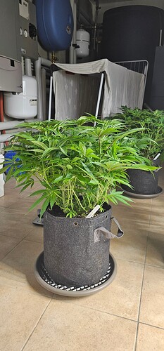 Growreport Bild 7