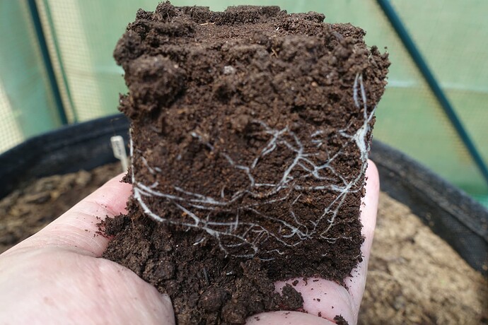 Growreport Bild 3