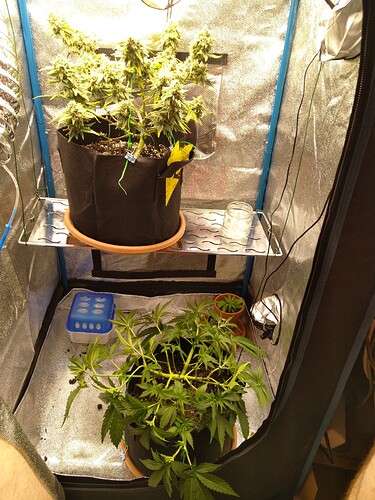 Growreport Bild 5