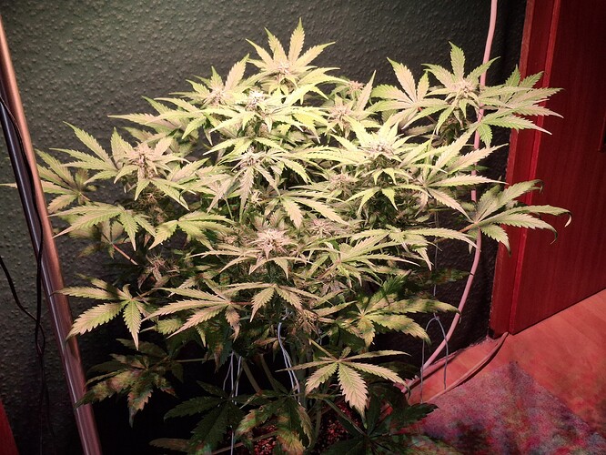 Growreport Bild 14
