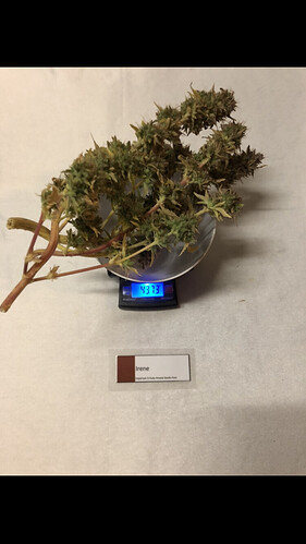 Growreport Bild 8