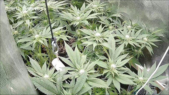 Growreport Bild 44