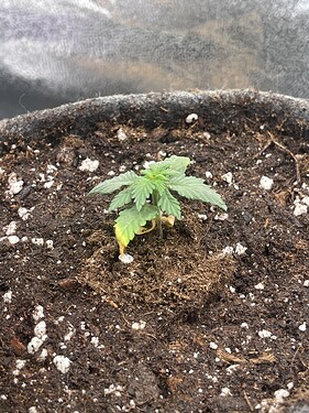 Growreport Bild 12
