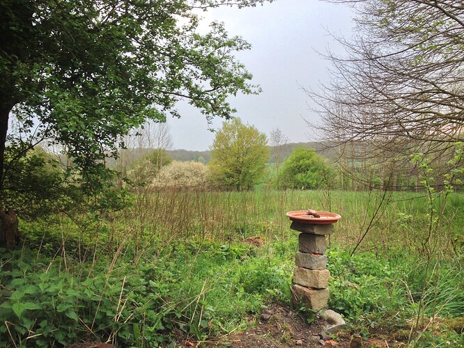 Eine Landschaftsaufnahme mit einer Vogeltränke aus Steinen im Vordergrund, umgeben von Wiesen und Bäumen.