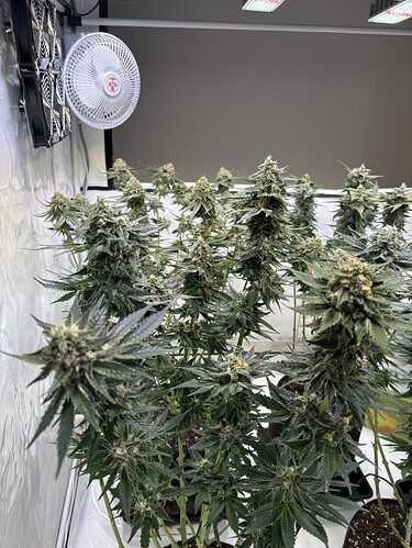 Growreport Bild 22