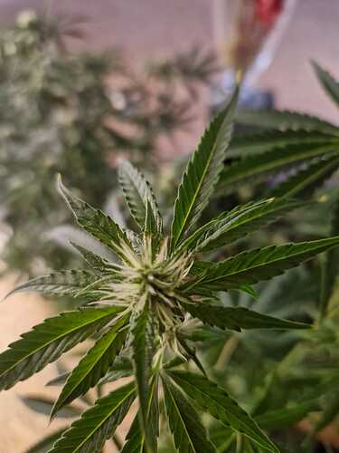 WhatsApp Bild 2024-05-19 um 11.03.40_419df38f