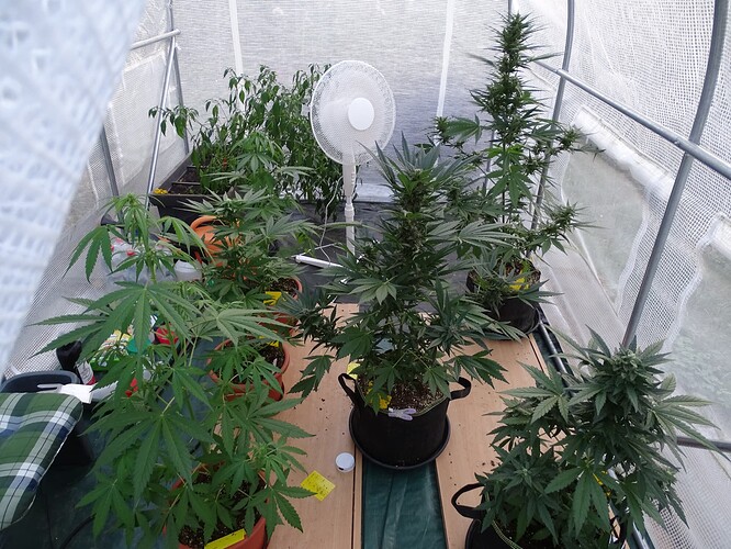 Growreport Bild 3