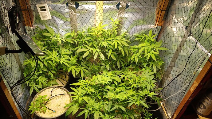 Growreport Bild 4