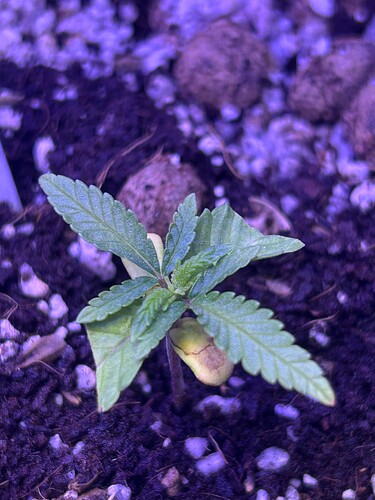 Growreport Bild 17