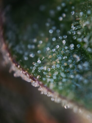 MVIMG_20251116_205214