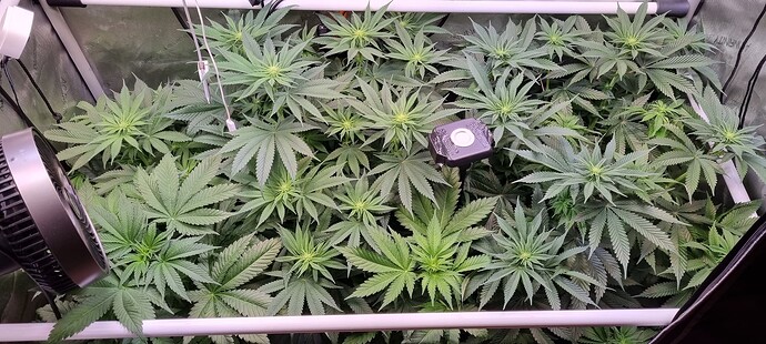 Growreport Bild 12