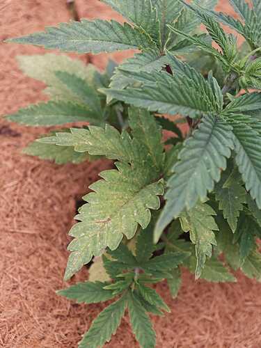 Growreport Bild 14