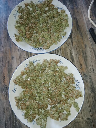 IMG_20240810_193924_191