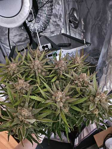 WhatsApp Bild 2024-04-29 um 13.28.04_7b6b3965