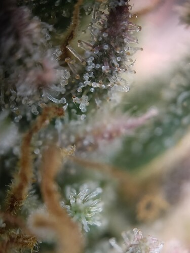 Growreport Bild 16