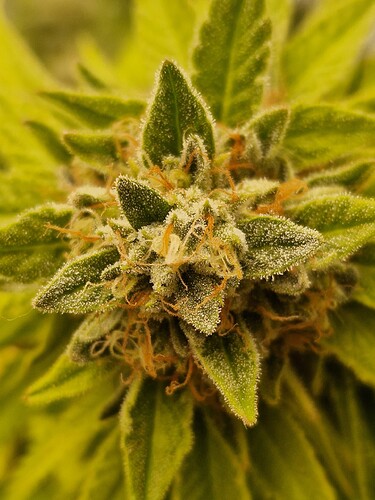 Growreport Bild 11